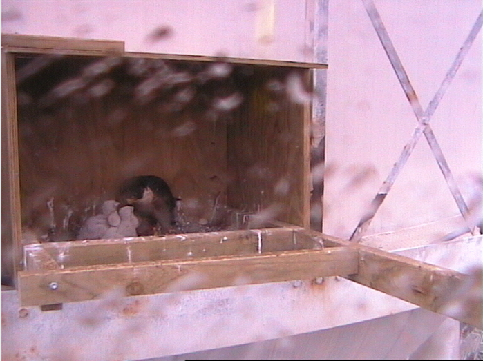 2009-10-12_223754.png