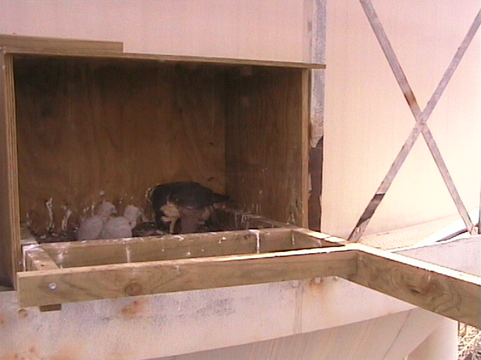 2009-10-13_054344.png