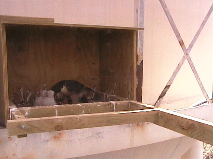 2009-10-13_054549.png