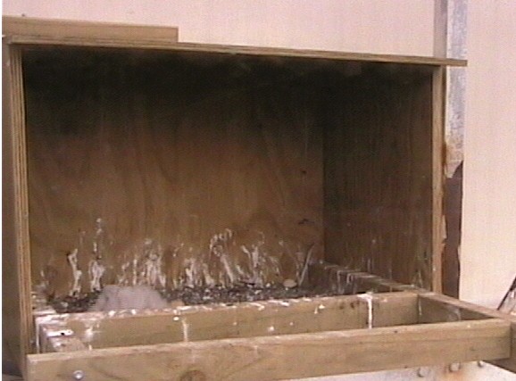 2009-10-14_000931.jpg