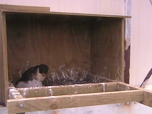 2009-10-14_100351.jpg