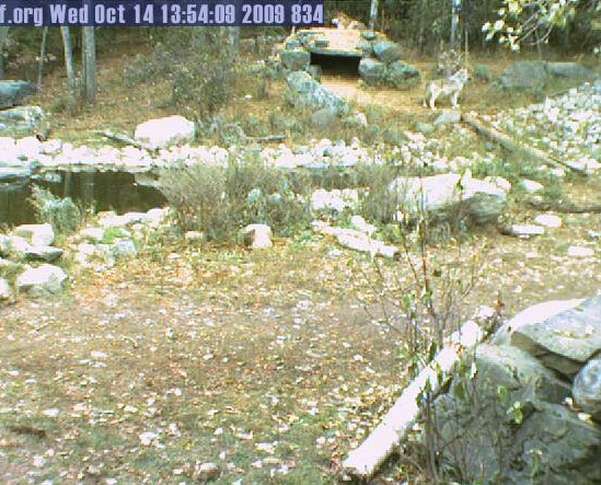 2009-10-14_205749.jpg