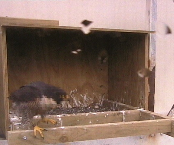 2009-10-14_235942.jpg