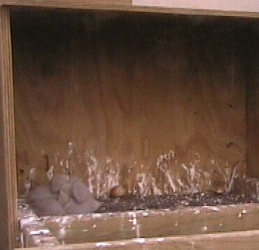 2009-10-15_070026.jpg