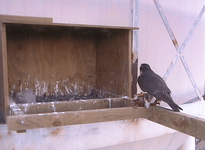 2009-10-15_095054.gif