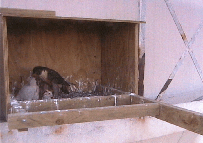 2009-10-15_100020.gif