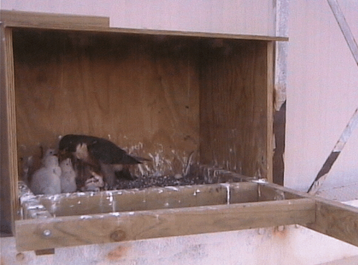 2009-10-15_100232.gif