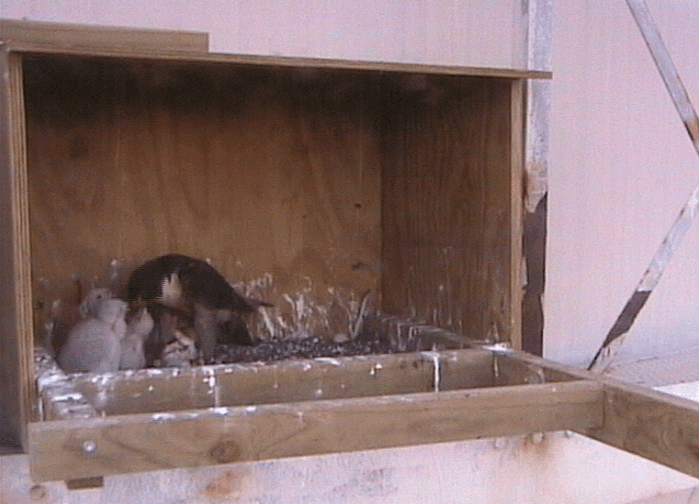 2009-10-15_100302.gif