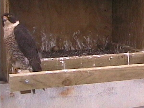 2009-10-15_200641.png