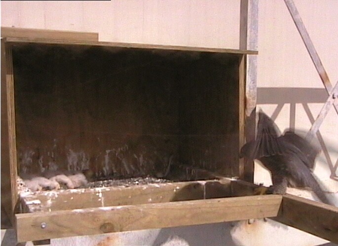 2009-10-16_011514.jpg