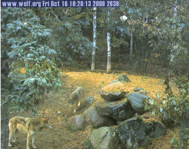 2009-10-16_172833.jpg