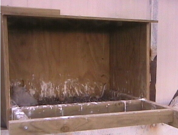 2009-10-16_222710.jpg