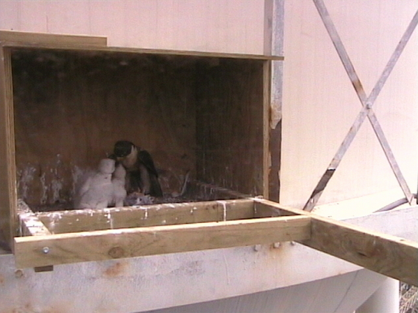 2009-10-17_061007.png