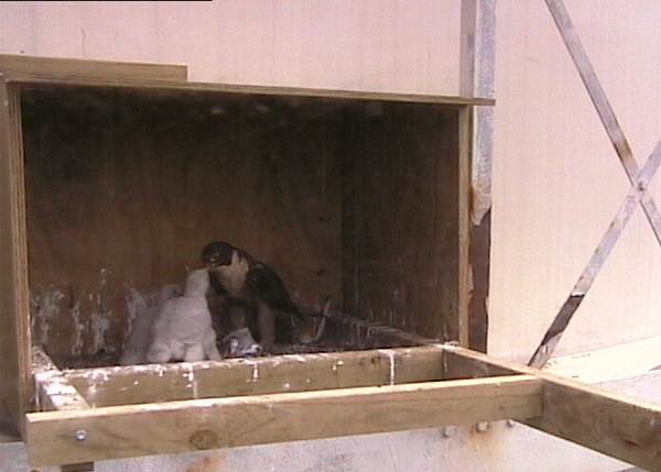2009-10-17_061047.png