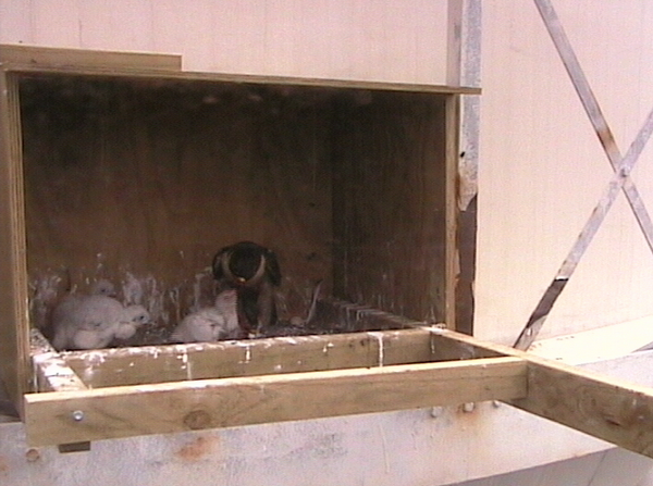 2009-10-17_061114.png