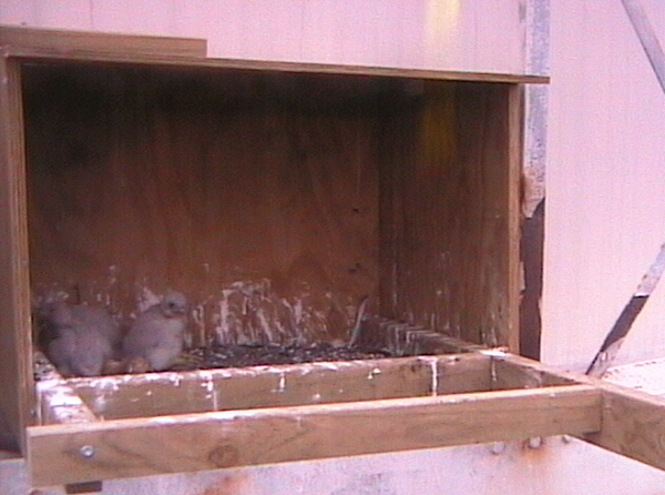 2009-10-17_215241.png