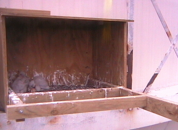 2009-10-17_215300.png