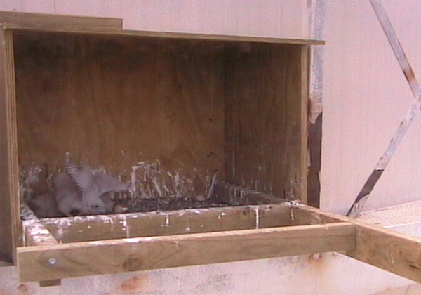 2009-10-18_083949.png