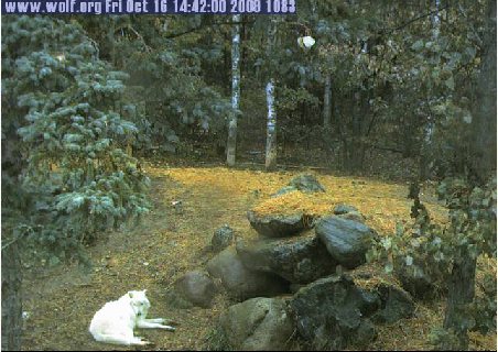 2009-10-16_214227.png
