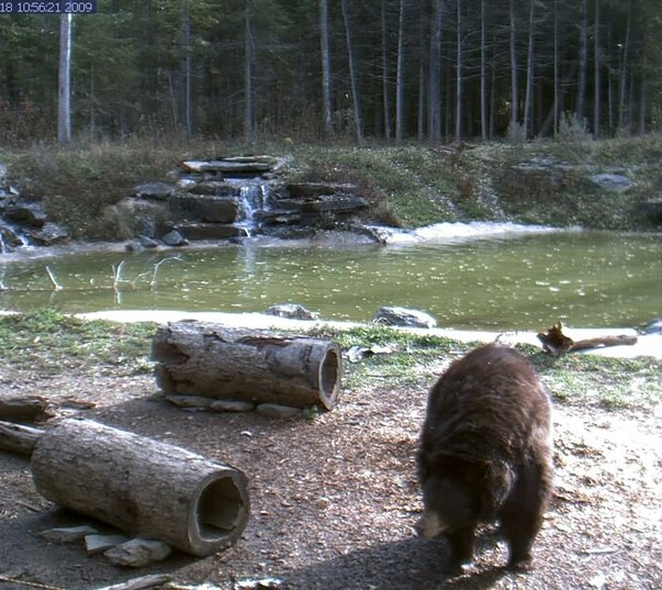2009-10-18_175425.jpg