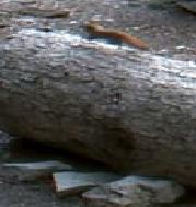 mokuska.JPG