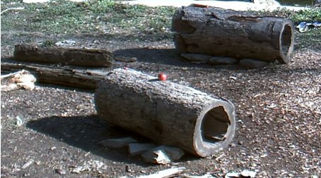 2009-10-18_204121.jpg