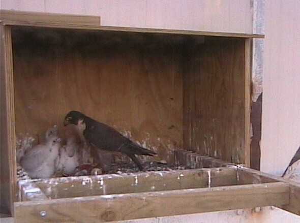 2009-10-19_103246.jpg
