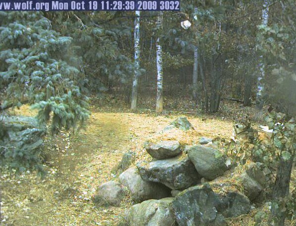 2009-10-19_183000.jpg