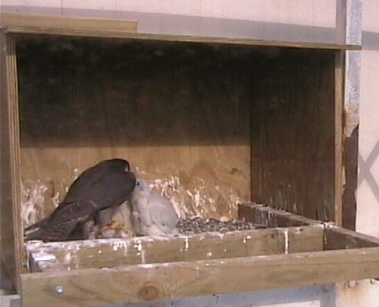 2009-10-19_233349.jpg