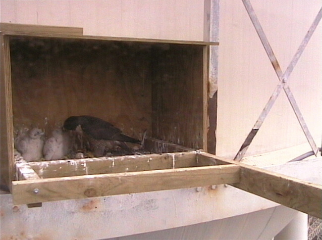 2009-10-20_051742.jpg