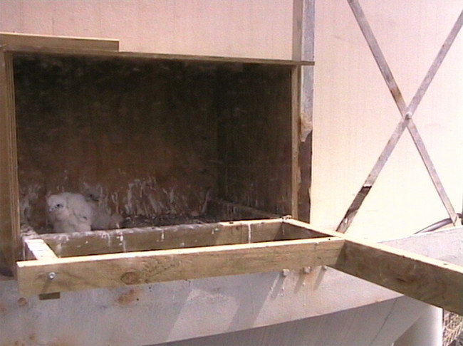 2009-10-20_051816.jpg