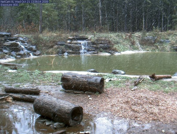 2009-10-21_203406.jpg