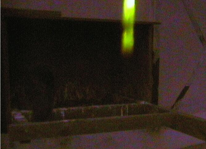 09.10.21.21.07.JPG