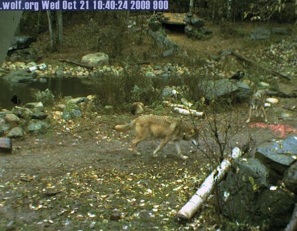 2009-10-21_174424.jpg
