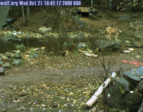 2009-10-21_174613.jpg
