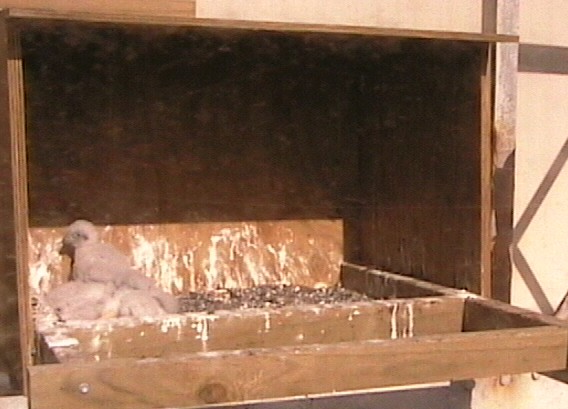 2009-10-22_000351.jpg