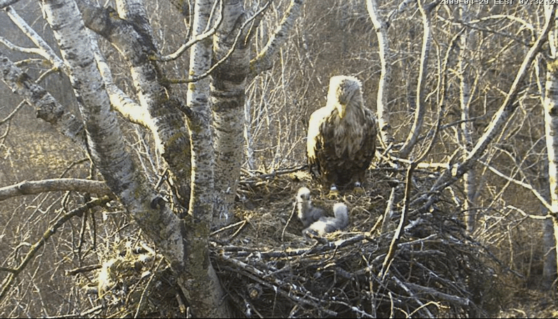 2009-04-29_181139.gif