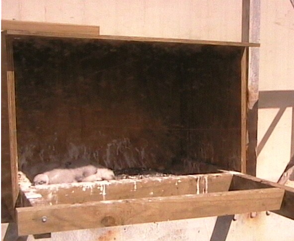 2009-10-22_012401.jpg