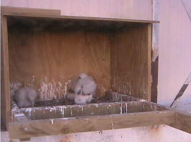 2009-10-23_213344.jpg