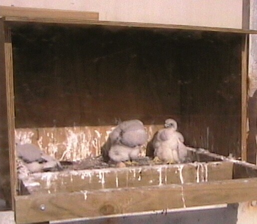 2009-10-25_000317.jpg