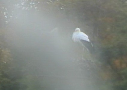 2009-10-25_071129.jpg