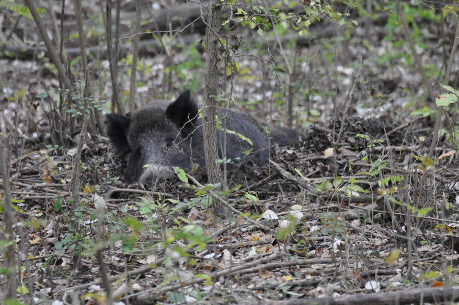 DSC_4969.jpg