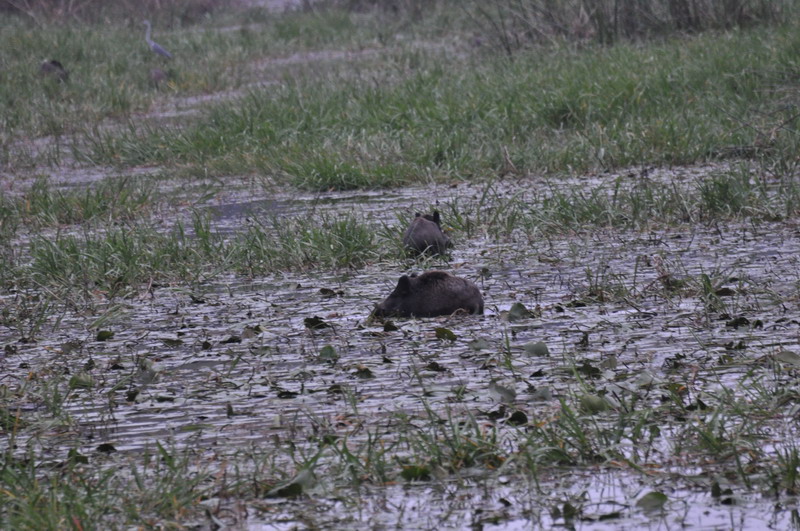 DSC_5012.jpg