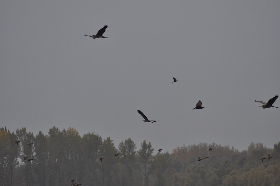 DSC_5046.jpg