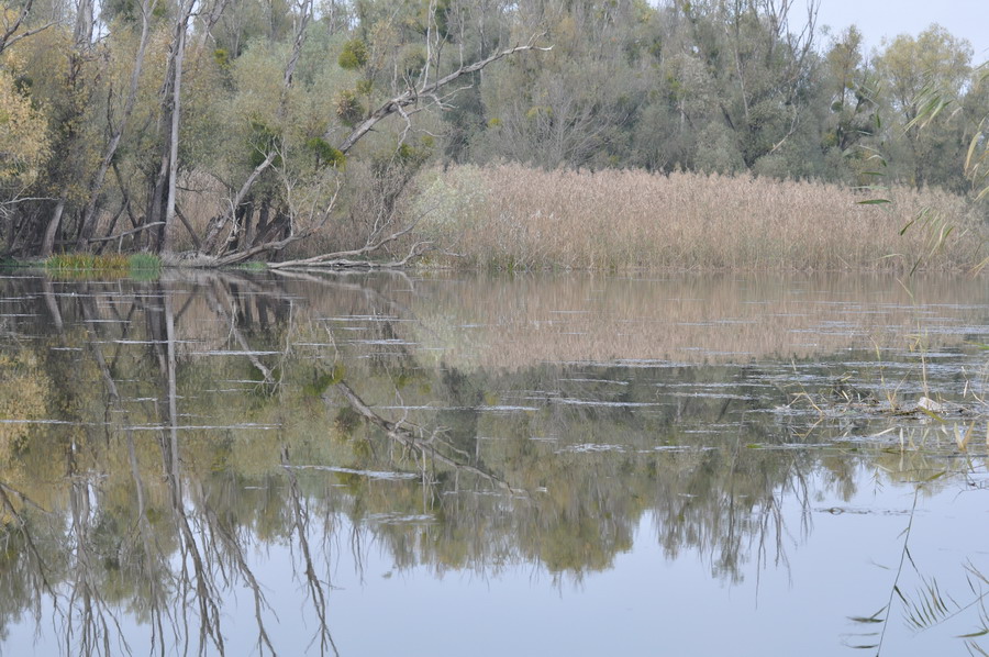 DSC_5088.jpg