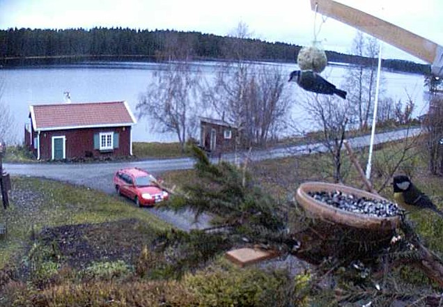 2009-10-26_080810.jpg