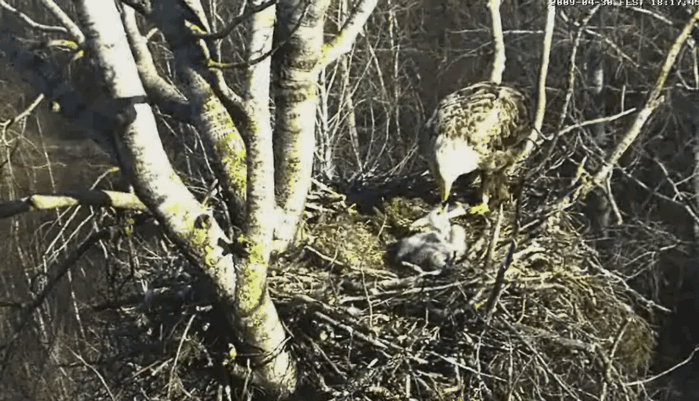 2009-04-30_202249.gif