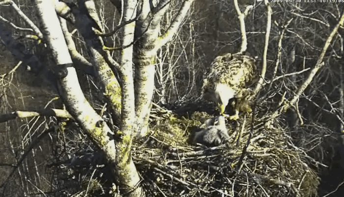 2009-04-30_202653.gif