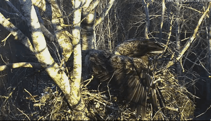 2009-04-30_203115.gif
