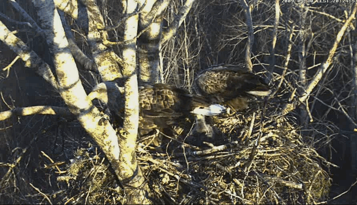 2009-04-30_203208.gif